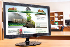webinars